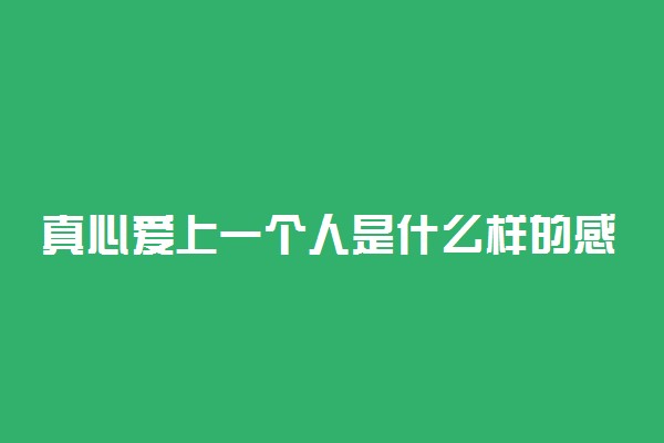 真心爱上一个人是什么样的感觉？