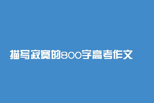 描写寂寞的800字高考作文：走过寂寞