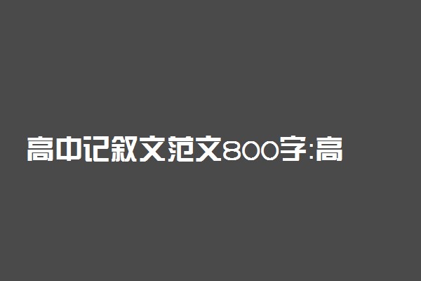 高中记叙文范文800字：高尚的灵魂