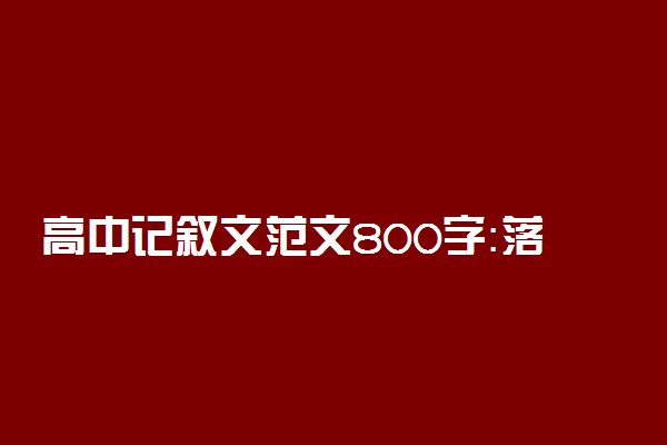 高中记叙文范文800字：落花有情