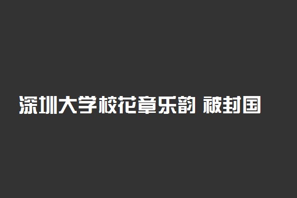 深圳大学校花章乐韵 被封国民女神