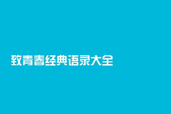 致青春经典语录大全