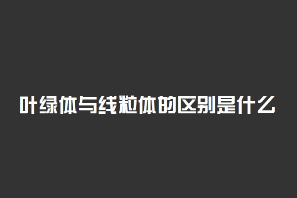 叶绿体与线粒体的区别是什么