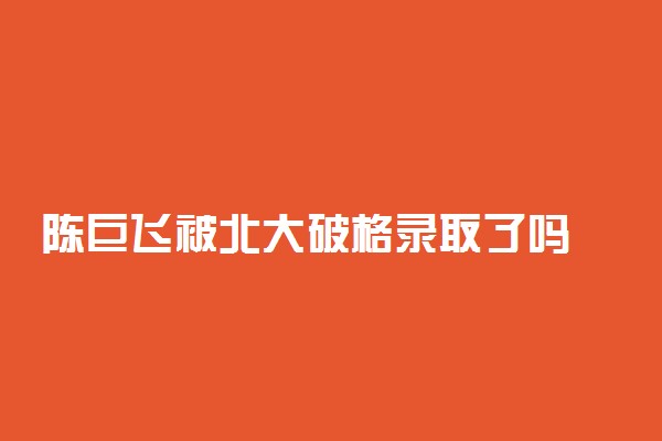 陈巨飞被北大破格录取了吗 陈巨飞是谁