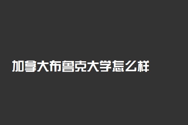 加拿大布鲁克大学怎么样