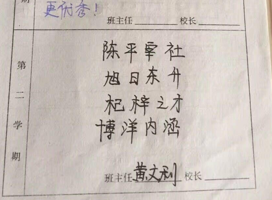 史上最牛小学班主任用成语写评语 网友直呼屌炸天