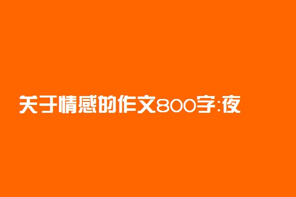 关于情感的作文800字：夜未央