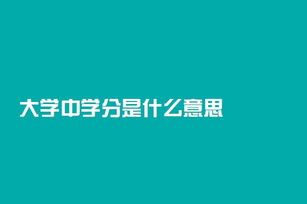 大学中学分是什么意思