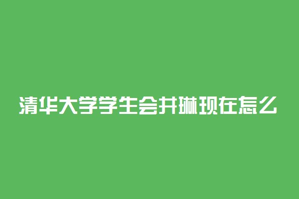 清华大学学生会井琳现在怎么样