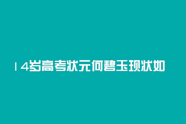 14岁高考状元何碧玉现状如何