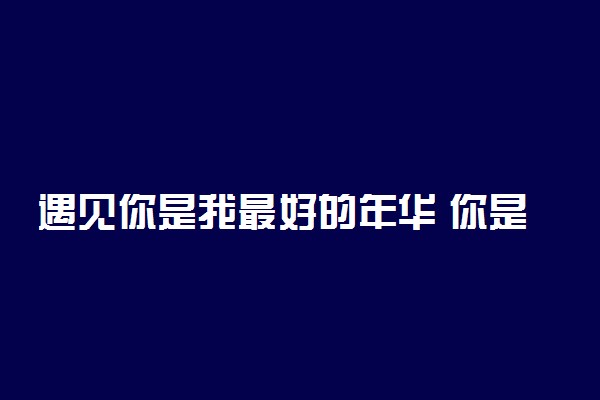 遇见你是我最好的年华 你是我的一见钟情