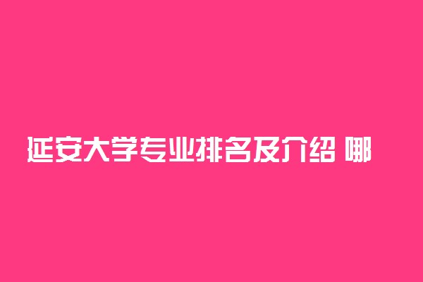 延安大学专业排名及介绍 哪些专业最好