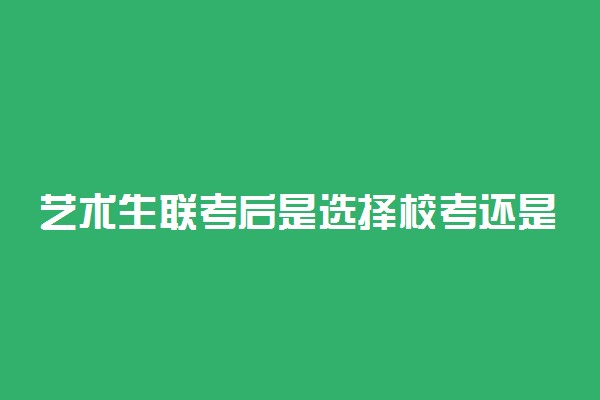 艺术生联考后是选择校考还是文化课