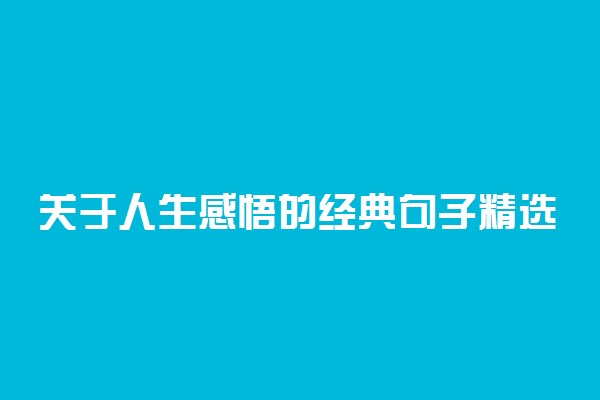 关于人生感悟的经典句子精选