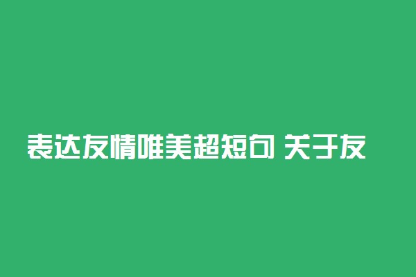 表达友情唯美超短句 关于友谊的暖心句子