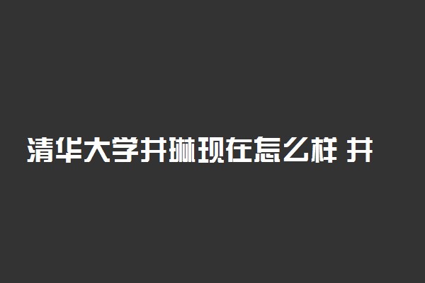 清华大学井琳现在怎么样 井琳近照