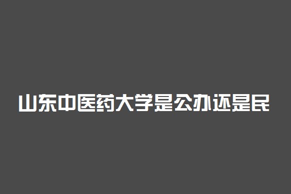 山东中医药大学是公办还是民办