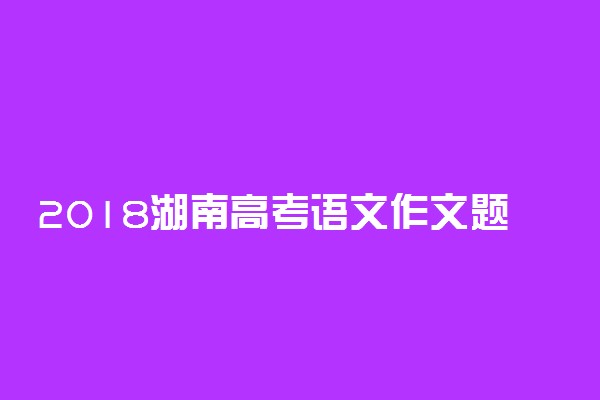 2018湖南高考语文作文题目：写给未来2035年的那个他