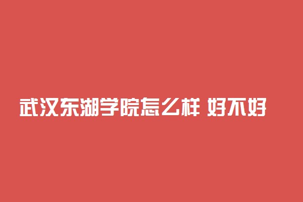 武汉东湖学院怎么样 好不好