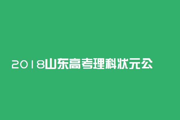 2018山东高考理科状元公布：宋稚中716分