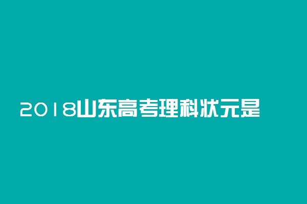 2018山东高考理科状元是谁