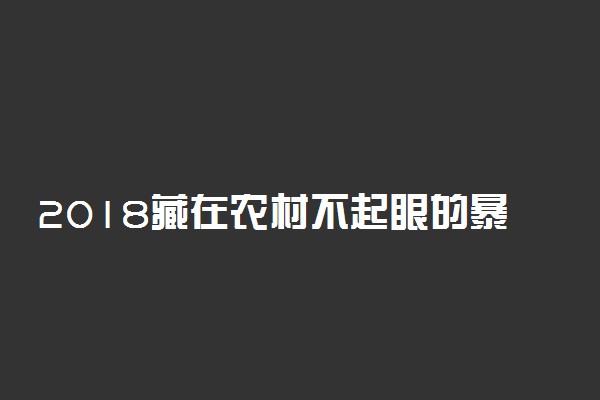 2018藏在农村不起眼的暴利商机 隐形暴利行业