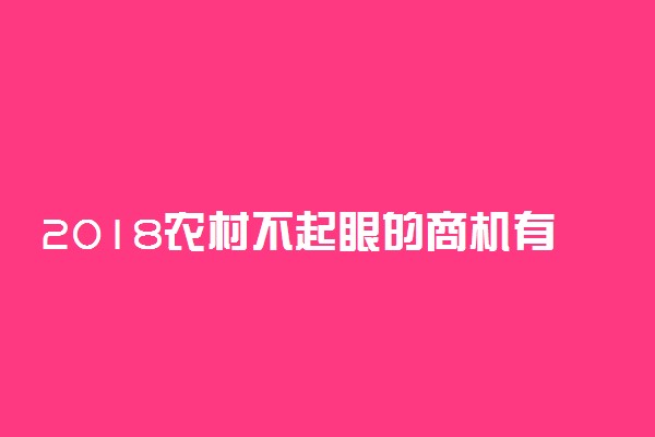 2018农村不起眼的商机有哪些