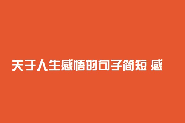 关于人生感悟的句子简短 感慨人生的语录