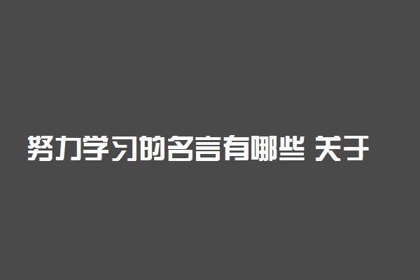 努力学习的名言有哪些 关于勤奋学习的格言