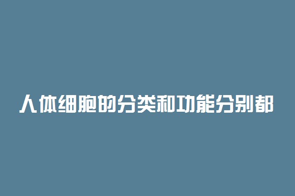 人体细胞的分类和功能分别都是什么