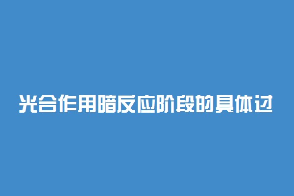 光合作用暗反应阶段的具体过程