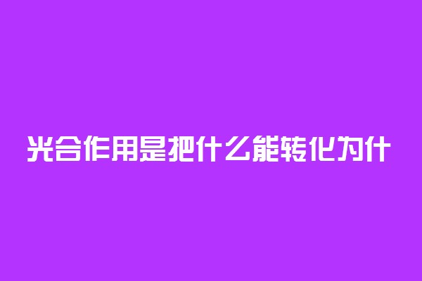 光合作用是把什么能转化为什么能