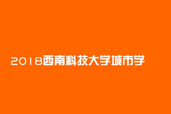 2018西南科技大学城市学院各省艺术类专业录取分数线
