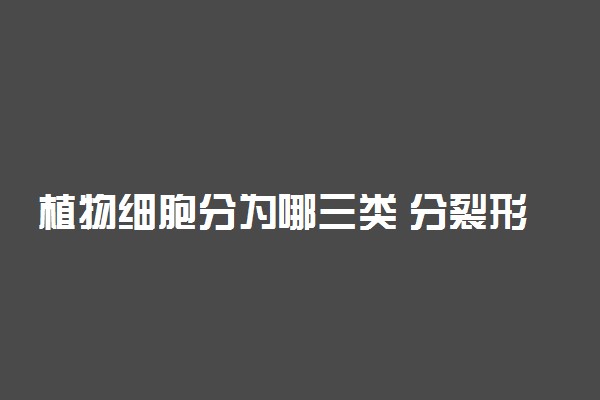 植物细胞分为哪三类 分裂形式是什么