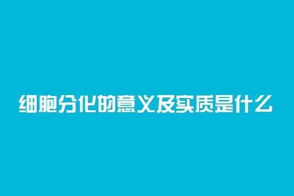 细胞分化的意义及实质是什么