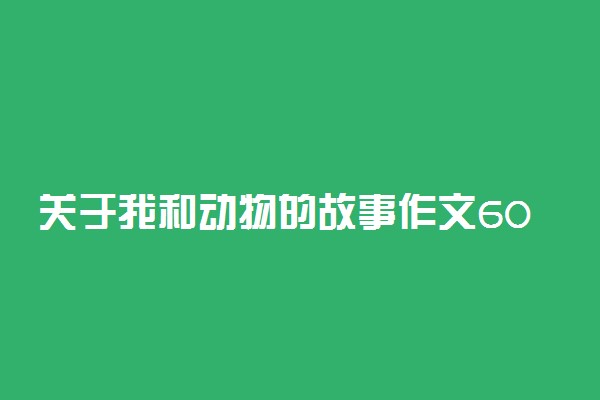 关于我和动物的故事作文600字