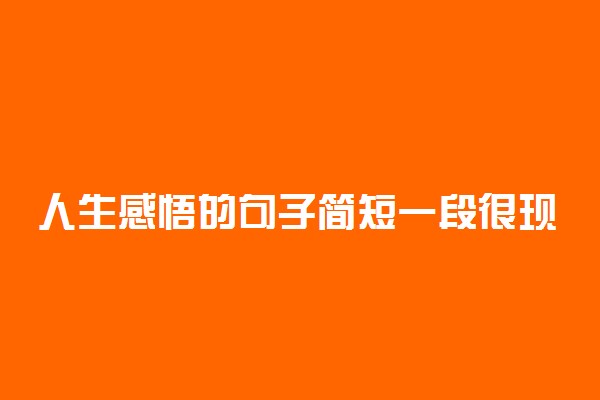 人生感悟的句子简短一段很现实的话