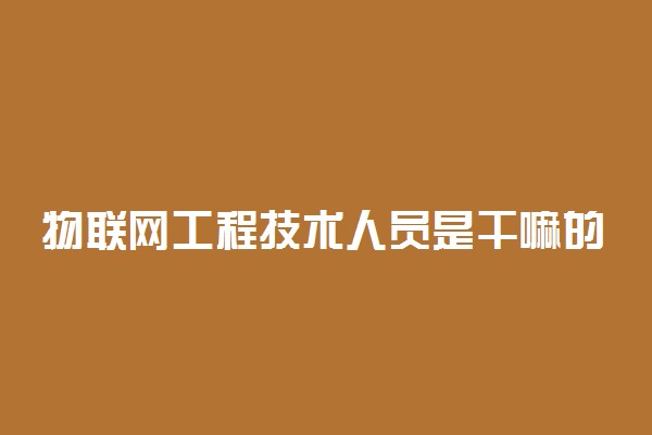 物联网工程技术人员是干嘛的 工资待遇怎么样