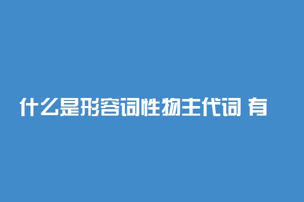 什么是形容词性物主代词 有哪些用法