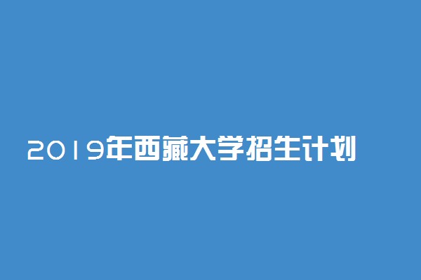 2019年西藏大学招生计划 招生人数是多少
