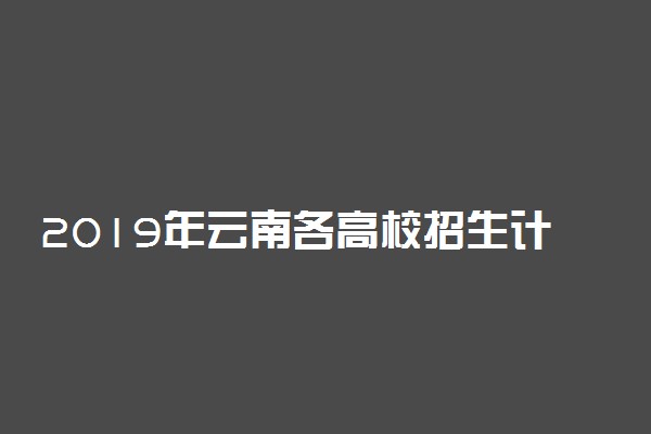 2019年云南各高校招生计划汇总