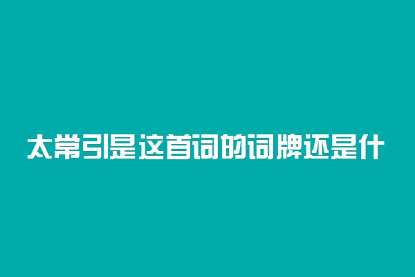 太常引是这首词的词牌还是什么