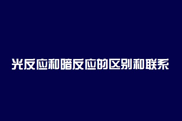 光反应和暗反应的区别和联系