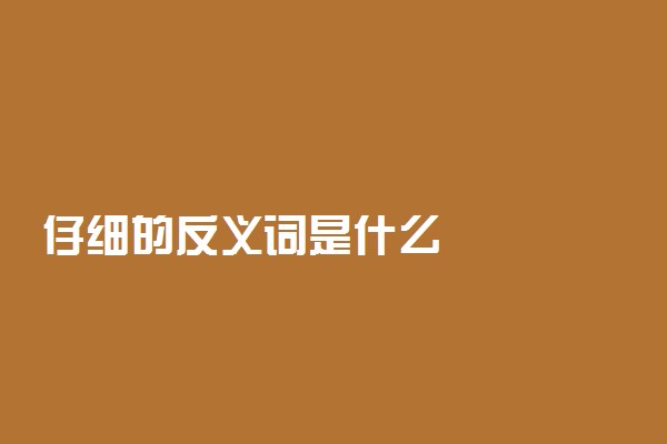 仔细的反义词是什么