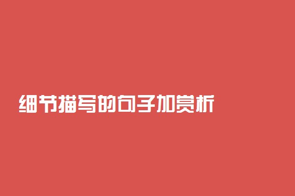 细节描写的句子加赏析