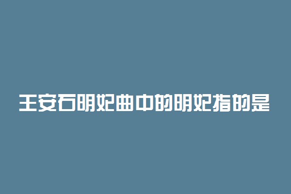 王安石明妃曲中的明妃指的是