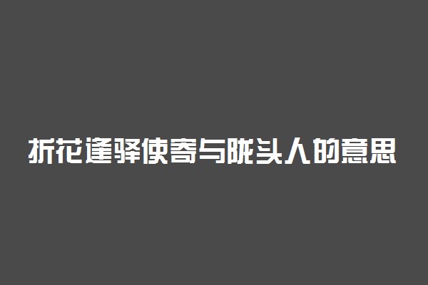 折花逢驿使寄与陇头人的意思