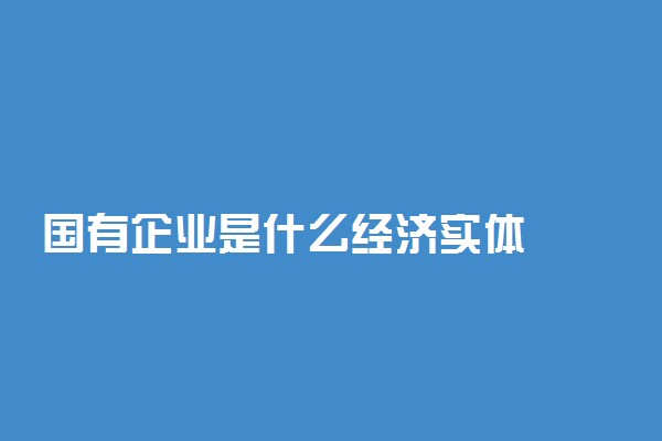 国有企业是什么经济实体