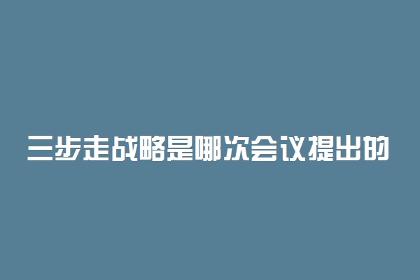 三步走战略是哪次会议提出的