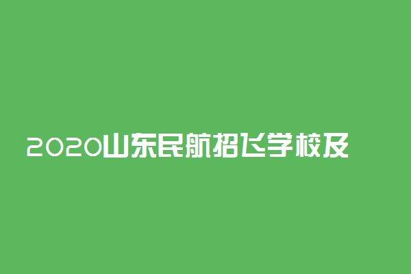 2020山东民航招飞学校及招生计划